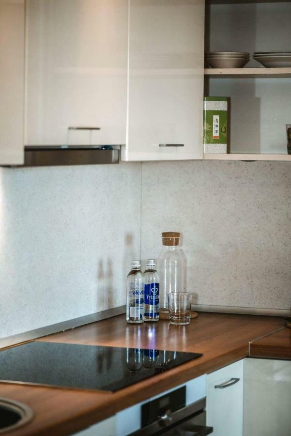 New Apartament Very Close To The City Centre 빌뉴스 외부 사진